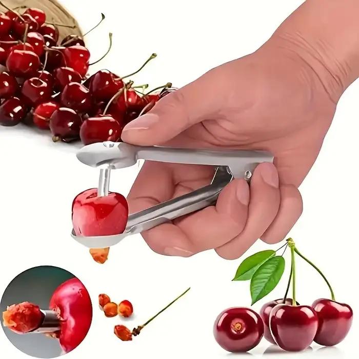 Corer de Jujube en acier inoxydable, cordeur d'aubépine, cueilleur de caron de cerise domestique, ou
