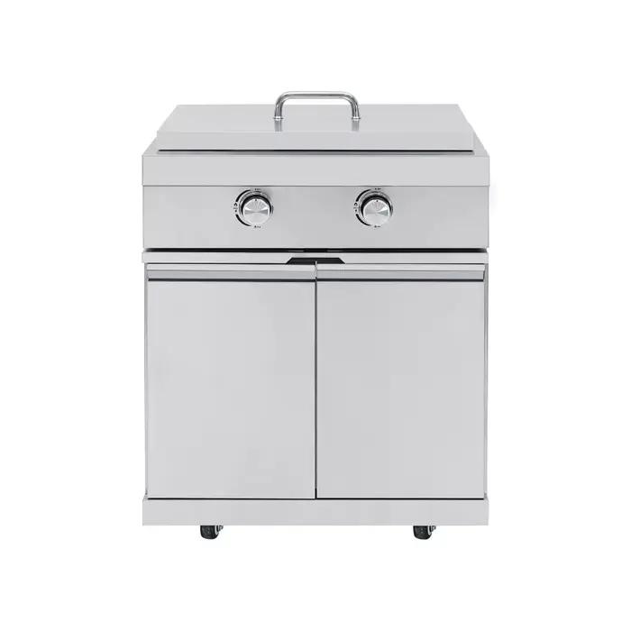 Plaque de cuisson intégrée en acier inoxydable pour barbecue à gaz, brûleur galvanisé moderne pour c