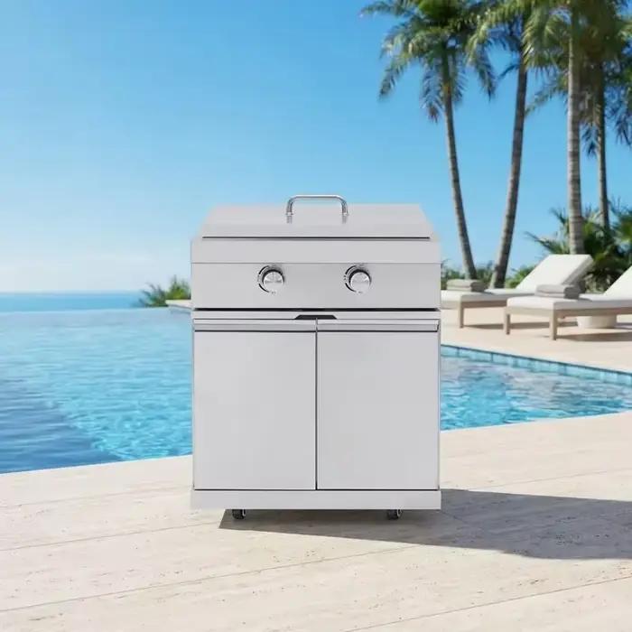 Plaque de cuisson intégrée en acier inoxydable pour barbecue à gaz, brûleur galvanisé moderne pour cuisine extérieure et camping