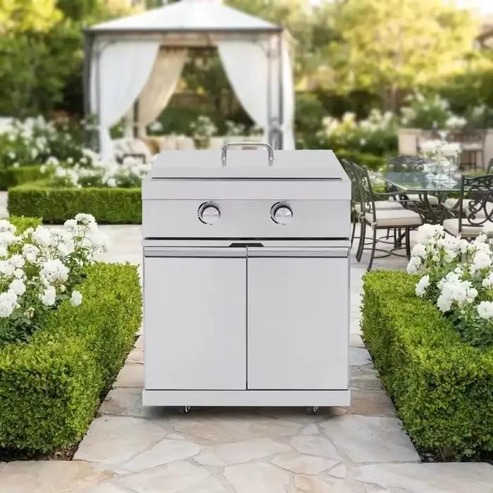 Plaque de cuisson intégrée en acier inoxydable pour barbecue à gaz, brûleur galvanisé moderne pour cuisine extérieure et camping