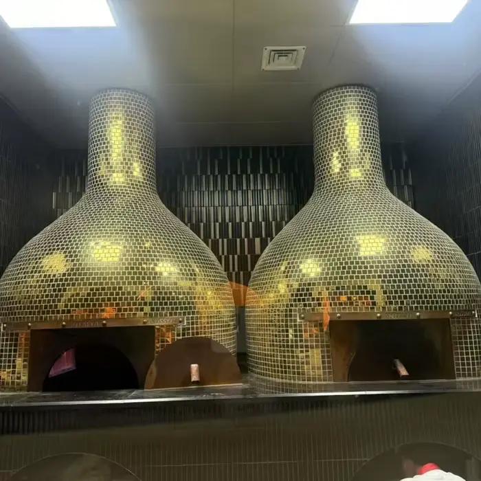Four à pizza industriel domestique 500 degrés, électrique, à gaz, à bois, en briques, pour la cuisson du pain, machine à pizza personnalisée occasions spéciales restaurant boulangerie hotel