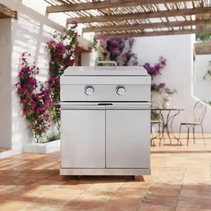 Plaque de cuisson intégrée en acier inoxydable pour barbecue à gaz, brûleur galvanisé moderne pour cuisine extérieure et camping