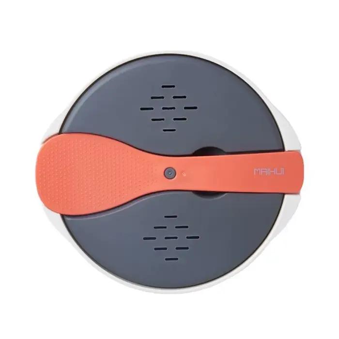 Four à micro-ondes cuiseur à riz Portable récipient alimentaire multifonction