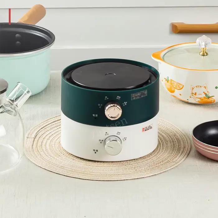 Cuisinière électrique à induction magnétique étanche