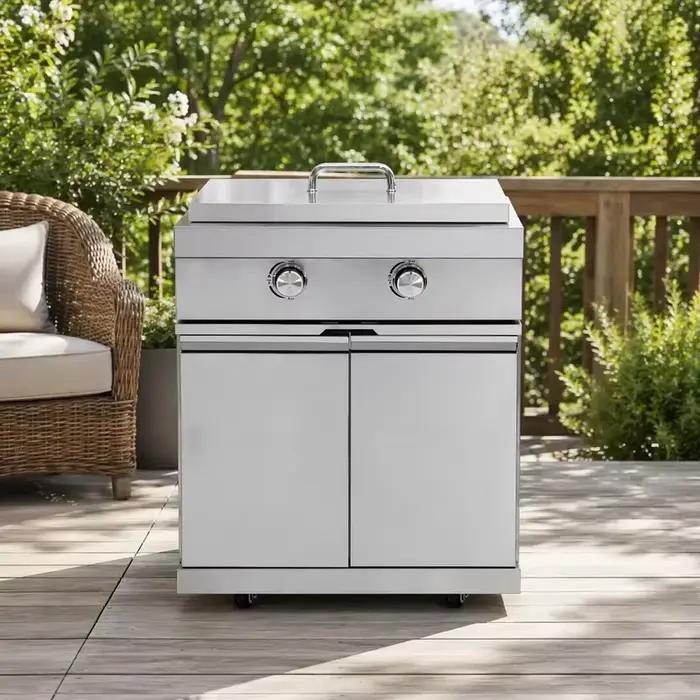Plaque de cuisson intégrée en acier inoxydable pour barbecue à gaz, brûleur galvanisé moderne pour cuisine extérieure et camping