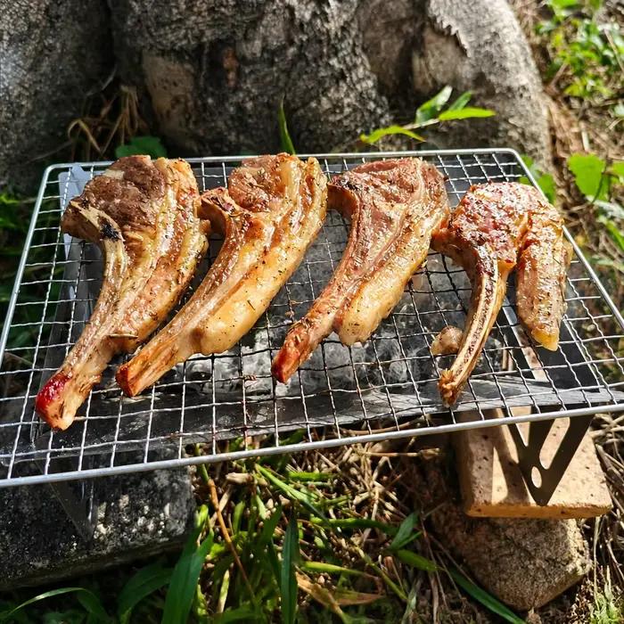 Barbecue pliable pour le camping grills au charbon de bois outils poêle à bois anneaux de camping fourneau de chauffage occasions spéciales