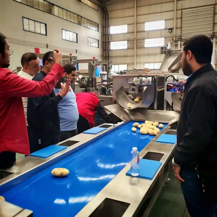 Ligne de production de frites entièrement automatique personnalisée de 100 à 500 kg/h avec friteuse