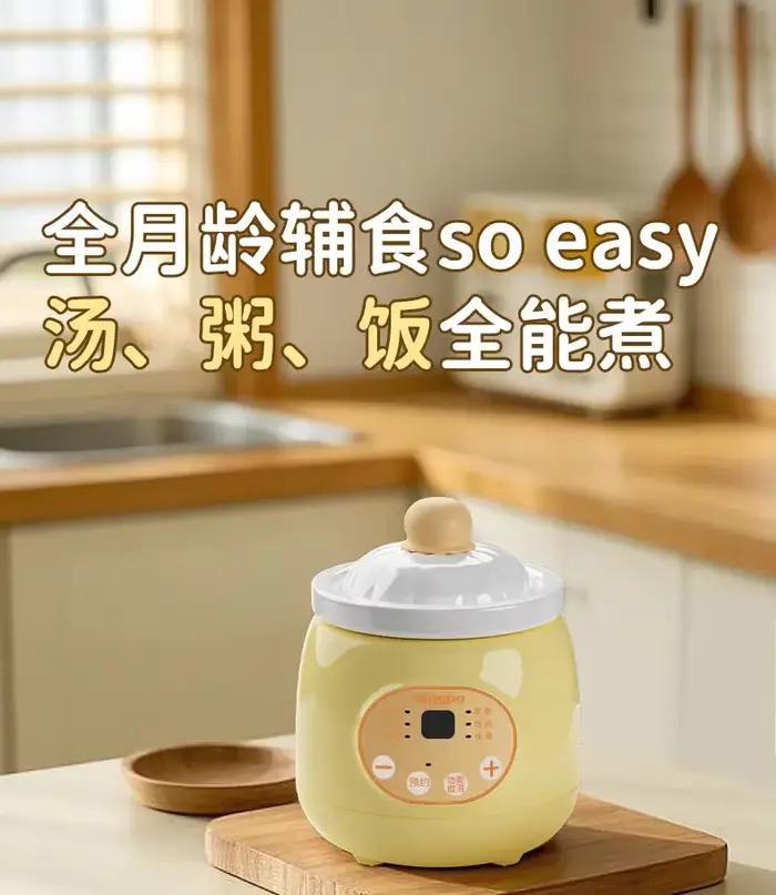 Tengpo – mijoteuse électrique 220V
