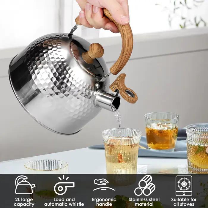 Bouilloire à ébullition en acier inoxydable
