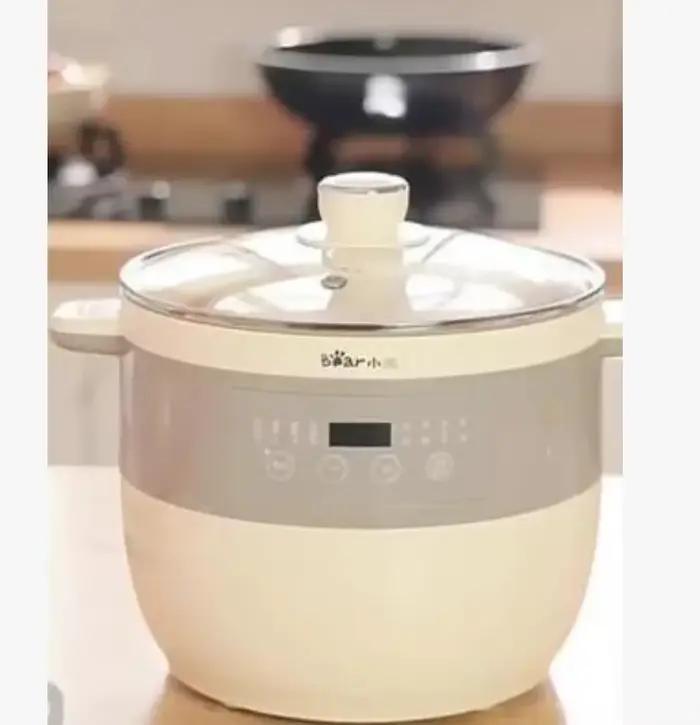 Mijoteuse électrique grande taille 220V