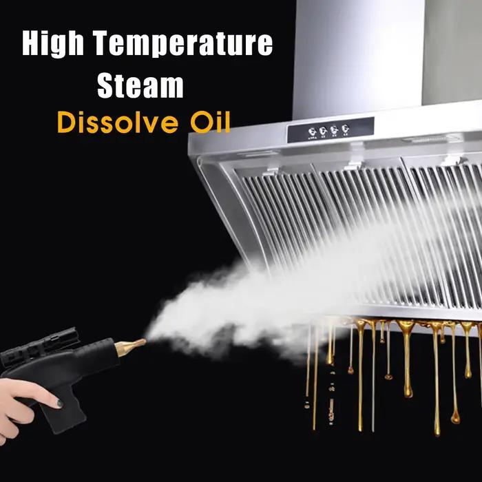 Nettoyeur Vapeur Électrique